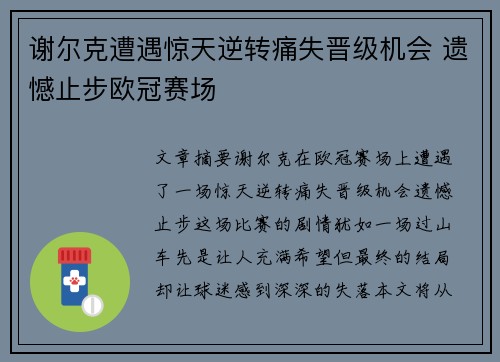 谢尔克遭遇惊天逆转痛失晋级机会 遗憾止步欧冠赛场