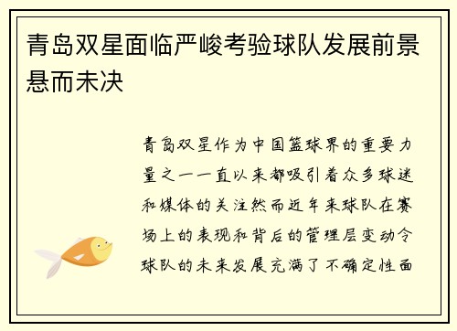 青岛双星面临严峻考验球队发展前景悬而未决